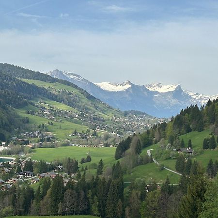Chalet Saint Victor, Praz Sur Arly Praz-sur-Arly Exterior foto