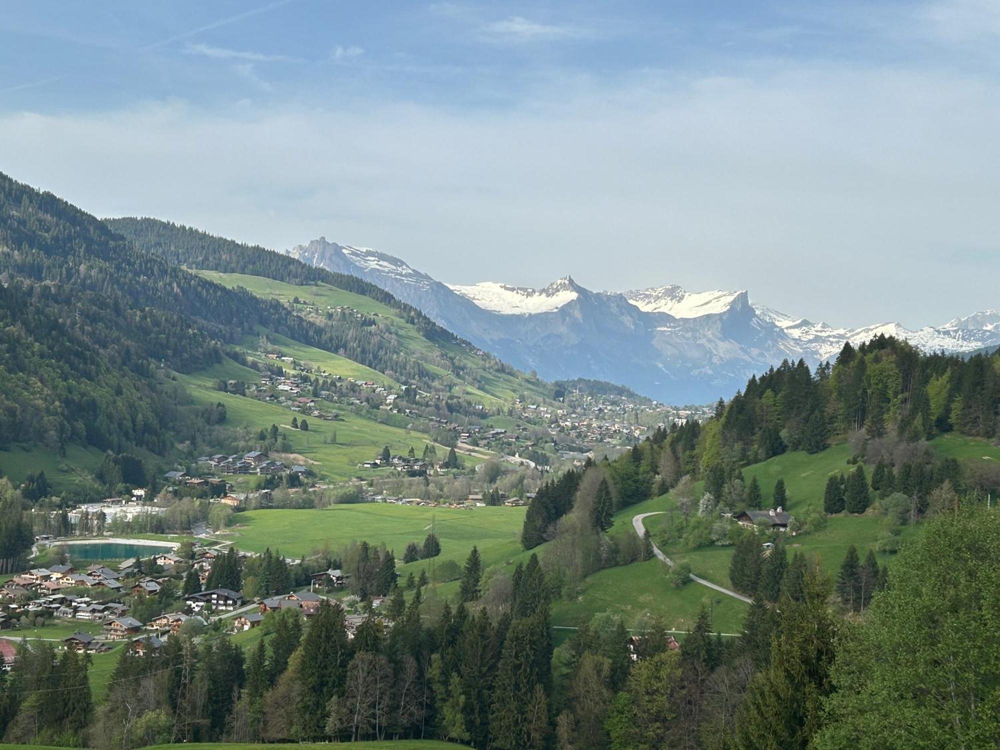 Chalet Saint Victor, Praz Sur Arly Praz-sur-Arly Exterior foto
